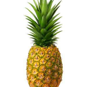 Calendar Anarosh (Pineapple)  per piece