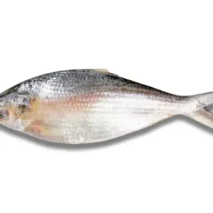 Hilsha Fresh Local Captured (1-1.199 kg)