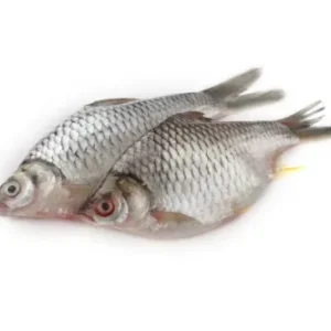 Sarputi Fresh Local Cultured (4-5 Pcs/kg)