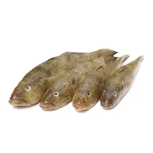 Baila Gura Fresh Local Captured